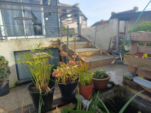 Photo de galerie - Bricolage et multi services