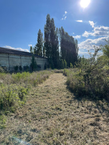 Photo de galerie - Débroussaillage et création d’un chemin