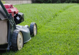 Photo de galerie - .