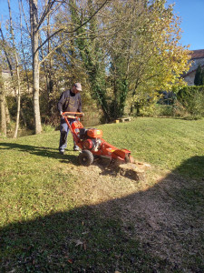 Photo de galerie - Paysagiste - Aménagement du jardin