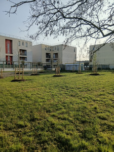 Photo de galerie - Chantier de vigneaux 