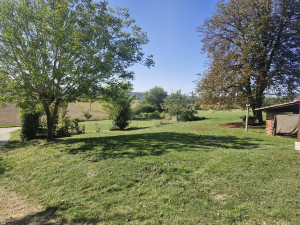 Photo de galerie - Tonte de pelouse - Débroussaillage