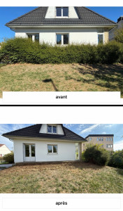 Photo de galerie - Arrachage complet d'une haie de conifères vieillissante le long de la façade, avec évacuation totale des déchets verts