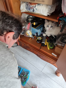 Photo de galerie - Garde de chat aussi