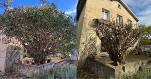 Photo de galerie - Taillage d’hiver