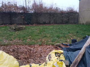 Photo de galerie - Taille de haie de charme 