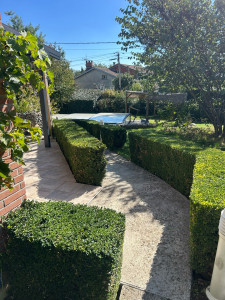 Photo de galerie - Taille de haie 