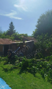 Photo de galerie - élagage d'arbres dans un jardin 