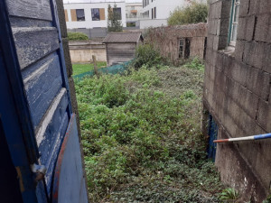 Photo de galerie - Avant debrousaillage 