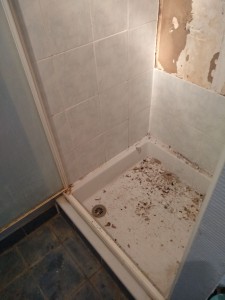 Photo de galerie - Rénovation douche