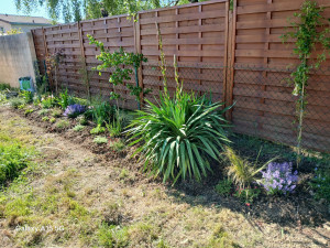 Photo de galerie - Création d'un massif imaginé avec des plantes existante.
