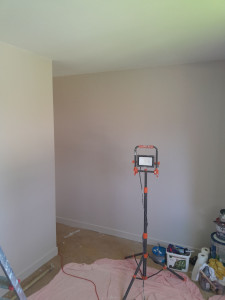 Photo de galerie - Peinture - Tapisserie