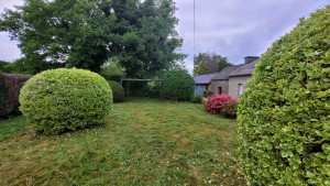 Photo de galerie - Mise en valeur du jardin avec tonte et tailles des arbustes 