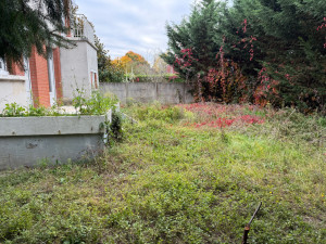 Photo de galerie - Tonte de pelouse - Débroussaillage