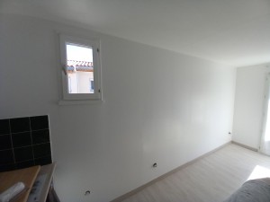 Photo de galerie - Peinture enduits 
rouleau airless machine.pro