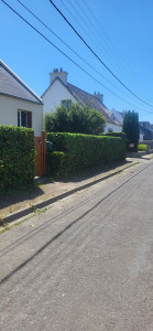 Photo de galerie - Taille de haies et d'arbustes