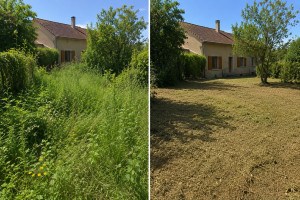 Photo de galerie - Débroussaillage 
