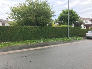 Photo de galerie - Paysagiste - Aménagement du jardin