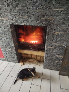 Photo de galerie - Pose parment au mur