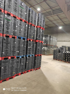 Photo de galerie - Caisse de fruits et légumes 