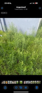 Photo de galerie - Paysagiste