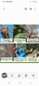 Photo de galerie - Taille de haies à votre service 