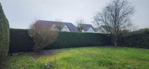 Photo de galerie - Taille de haïe 