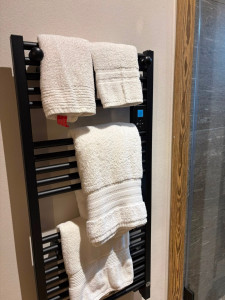 Photo de galerie - Mise à disposition du linge de toilette pour les voyageurs 