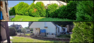 Photo de galerie - Taille de haies et d'arbustes