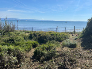 Photo de galerie - Tondeuse débroussailleuse