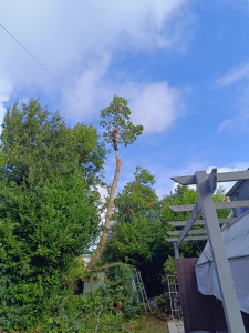 Photo de galerie - Sympa 