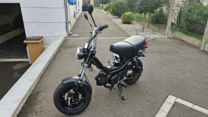 Photo de galerie - Peinture chappy full black