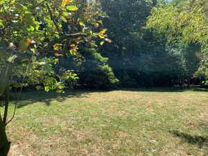 Photo de galerie - Grand terrain et arboré 