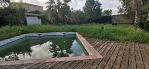 Photo de galerie - Tonte de pelouse - Débroussaillage