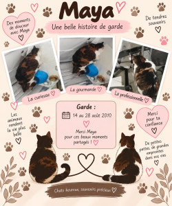 Photo de galerie - Garde chat