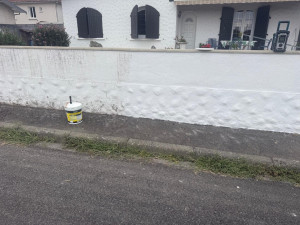 Photo de galerie - Peinture extérieure