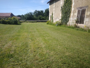 Photo de galerie - Tonte de pelouse - Débroussaillage