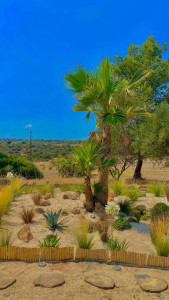 Photo de galerie - Paysagiste - Aménagement du jardin