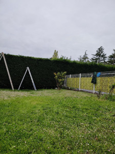 Photo de galerie - Taille haies