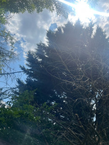 Photo de galerie - Paysagiste - Aménagement du jardin