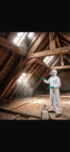 Photo de galerie - Couverture - Toiture