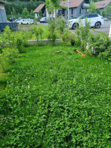 Photo de galerie - Avant tonte