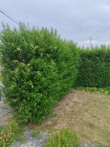 Photo de galerie - Avant 