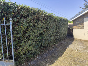 Photo de galerie - Après 