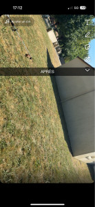 Photo de galerie - Tonte de pelouse - Débroussaillage