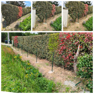 Photo de galerie - Grillage souple