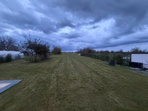 Photo de galerie - Tonte et débroussaillage d’un jardin de 2000m2 