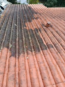 Photo de galerie - Nettoyage de toiture 
