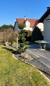 Photo de galerie - Taille de haies et d'arbustes