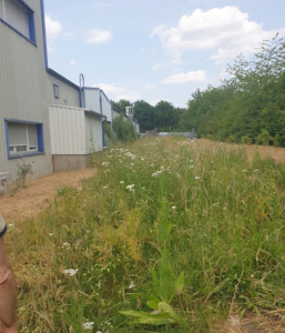 Photo de galerie - Entretien